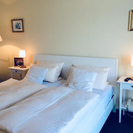 Rhein-residenz Hotel 3*