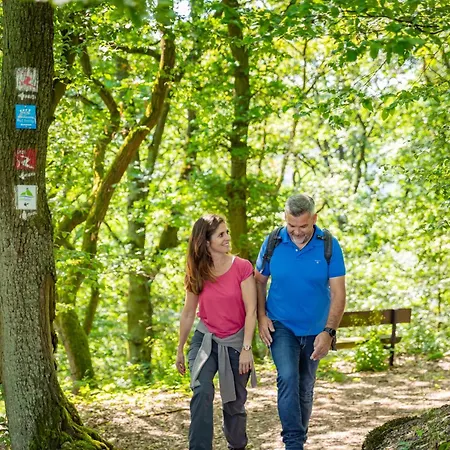 Hotel Rhein-residenz Bad Breisig