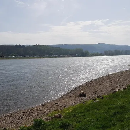 Rhein-residenz Hotel 3*