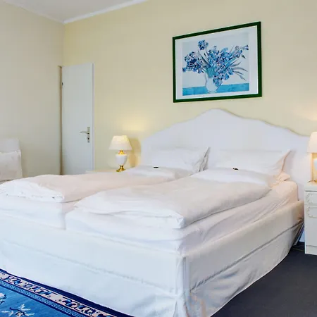 Hotel Rhein-residenz 3*