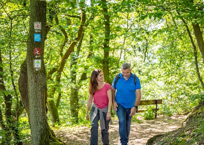 Hotel Rhein-residenz Bad Breisig